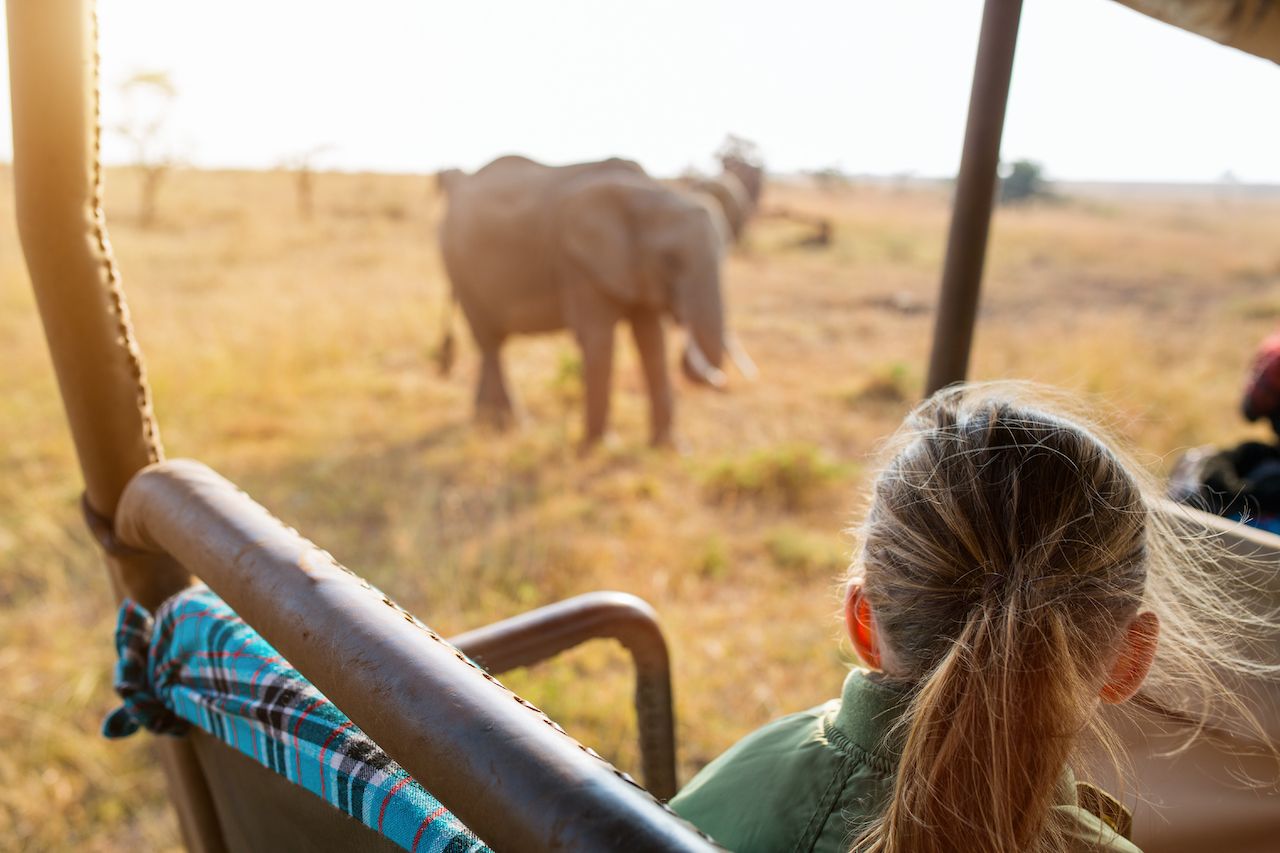 Adorable,Little,Girl,In,Kenya,Safari,On,Morning,Game,Drive
