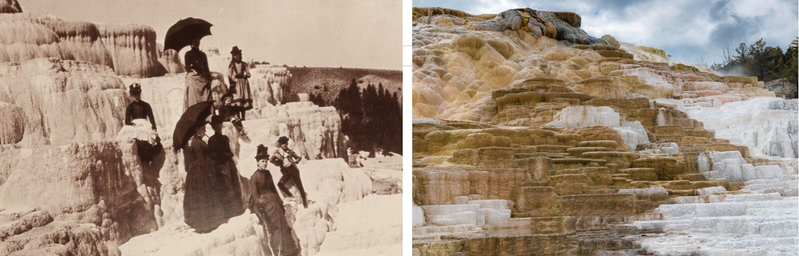 Mammoth Terraces_Yellowstone National Park yellowstone history 