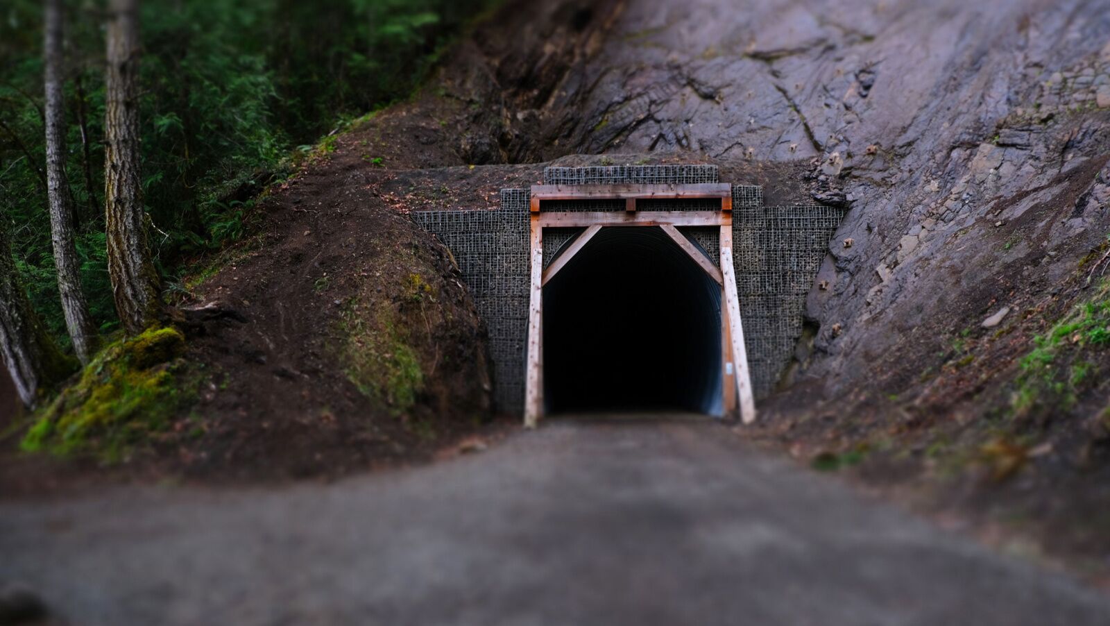 haunted trails - railroad hike olympic